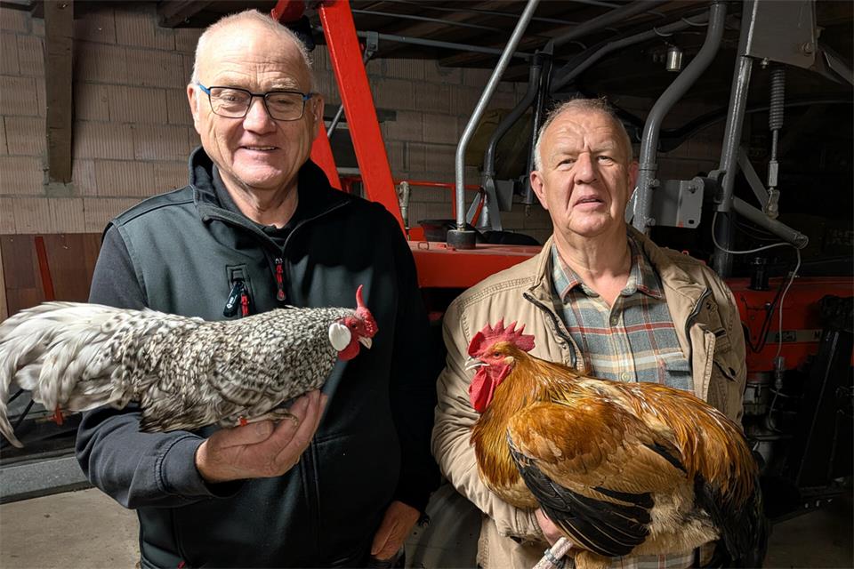 Richard Tegelkamp (l.) und RGZV-Vorsitzender Richard Tenbusch freuen sich auf die Vereinsschau.