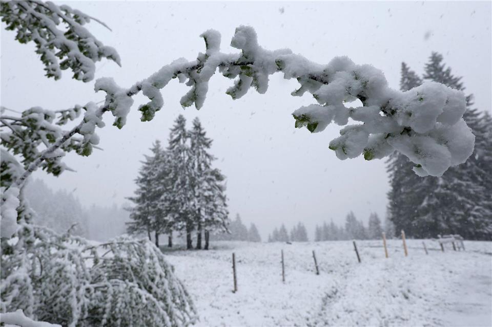 Riedbergpass: Schnee in Bayerns Höhenlagen – winterliche Szenerie auf etwa 1200 Metern HöheKarl-Josef Hildenbrand/dpa
