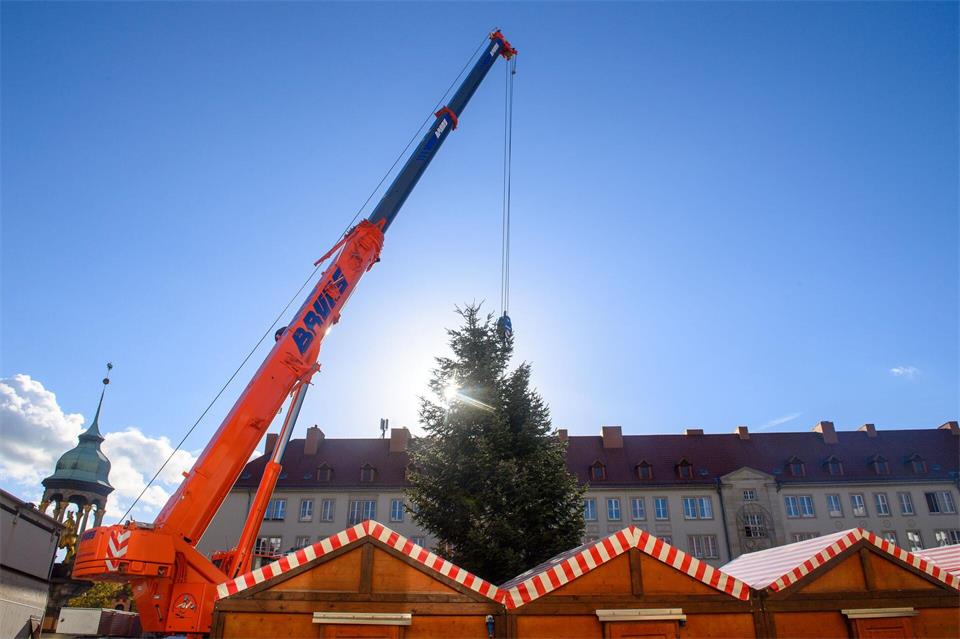 Riesige Kräne heben die prachtvollen Tannen auf die Weihnachtsmärkte in Sachsen-Anhalt - so auch in Magdeburg. (Archivbild)Klaus-Dietmar Gabbert/dpa