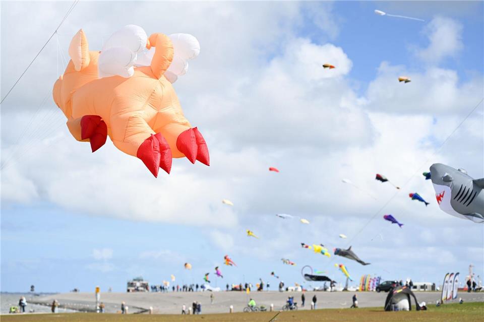 Riesige Tierfiguren als Drachen schweben beim Drachenfest am Himmel.Lars Penning/dpa