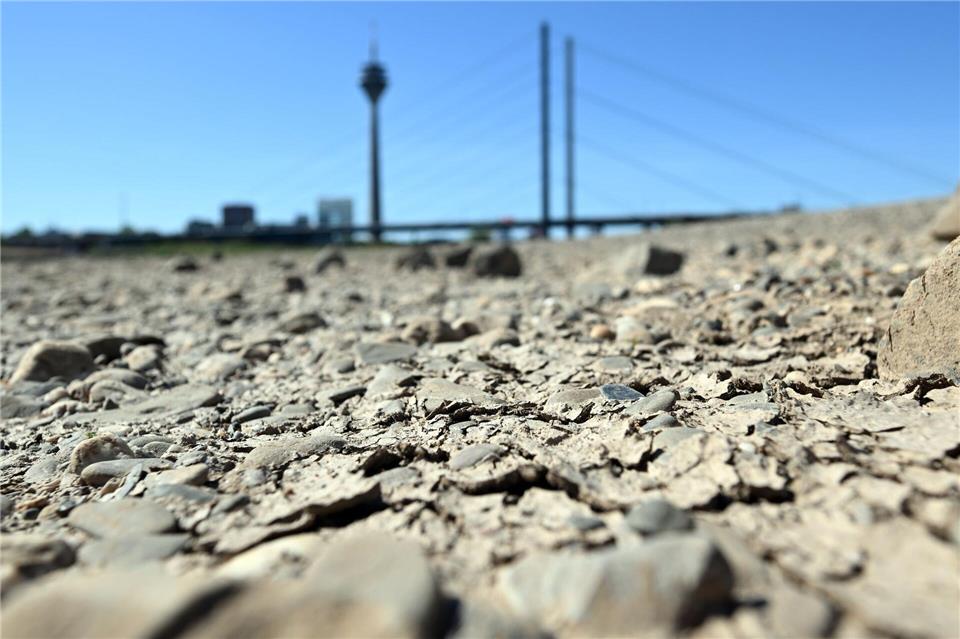 Risse haben sich bei niedrigem Wasserstand auf dem Rhein am trocken gefallenen Ufer gebildet. Federico Gambarini/dpa