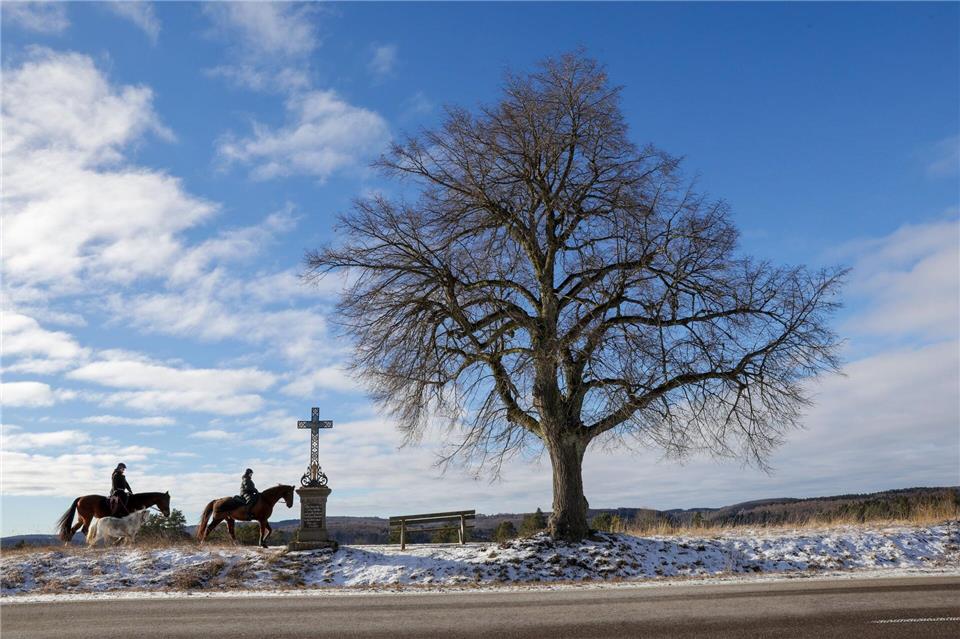 Ritt durch die Kälte: Auch sonst beherrschte der Frost den Südwesten. Thomas Warnack/dpa