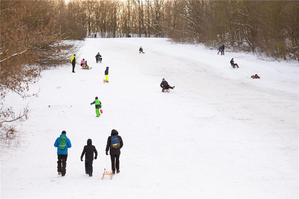 Rodeln, Schneemannbauen, Schneeballschlacht – vielen bereitete der Schnee große Freude. (Archivbild)Christophe Gateau/dpa