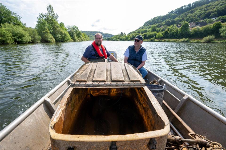 Es gibt sie immer seltener - Das machen Berufsfischer heute Rosengarten hat die Staustufen Trier und Zeltingen sowie die rheinland-pfälzische Saar gepachtet (Archivbild)Harald Tittel/dpa