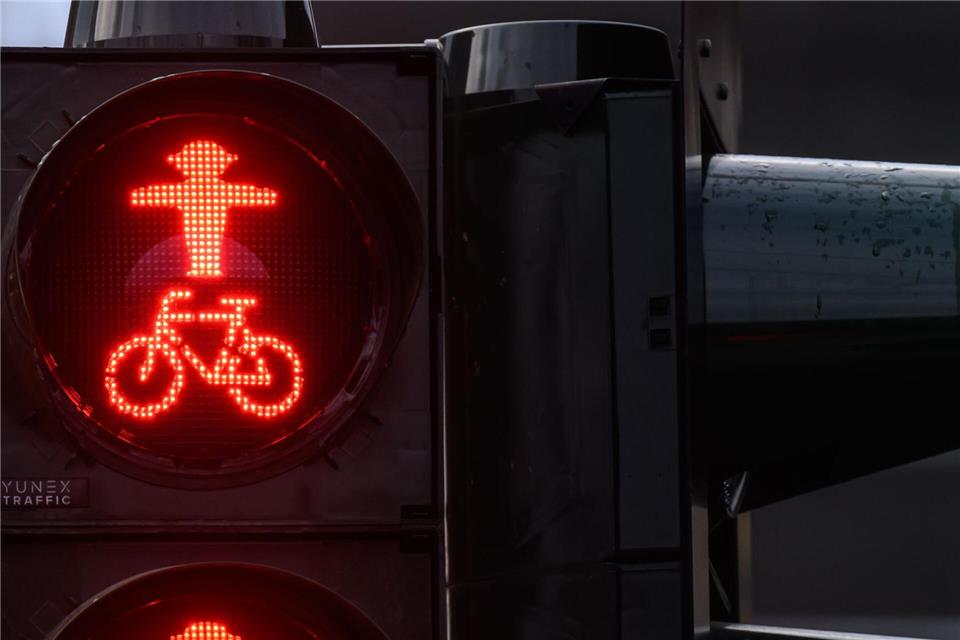 Rot für Fußgänger soll die Ampel laut Zeugen bei einem Unfall in Pirmasens gewesen sein. (Symbolbild) Robert Michael/dpa
