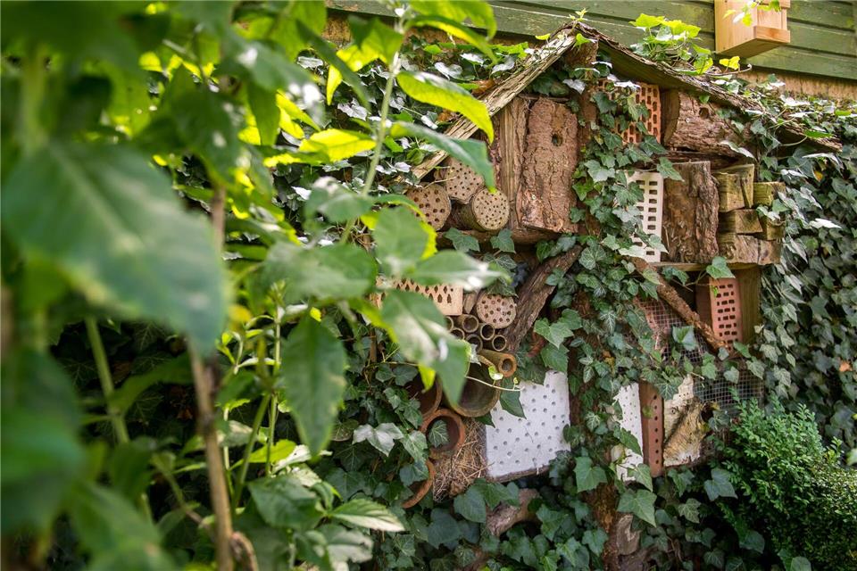 Rückzugsort für Nützlinge: Kleine Insektenhotels bieten hilfreichen Insekten Schutz.Benjamin Nolte/dpa-tmn