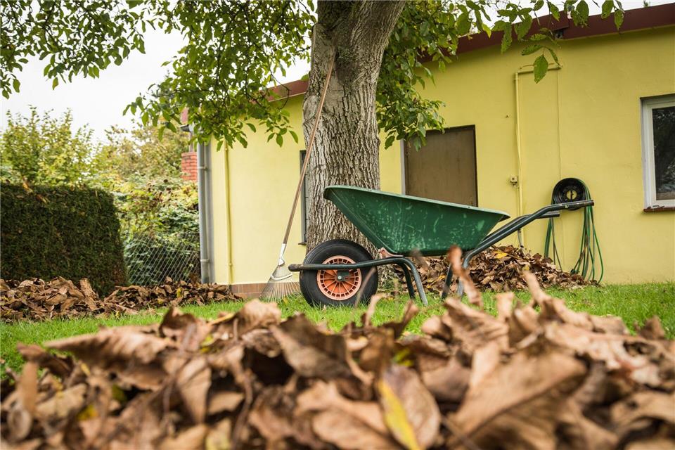 Ruhe vor dem Sturm: Bevor die stürmische Jahreszeit beginnt, sollten die Bäume auf dem Grundstück gründlich in Augenschein genommen werden.picture alliance / dpa-tmn