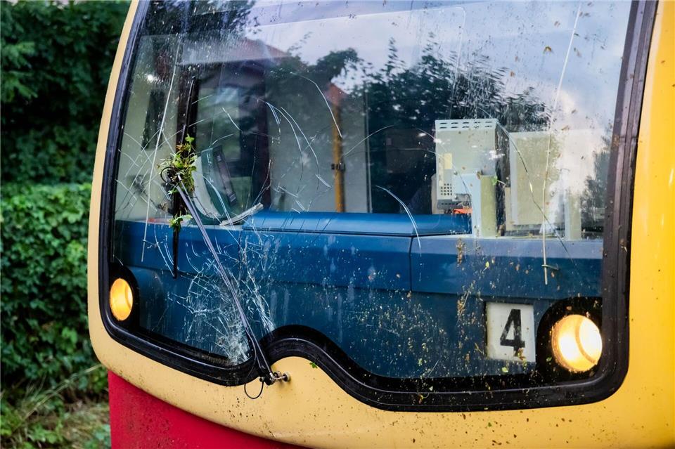 Rund 100 Fahrgäste haben in einem S-Bahn-Zug gewartet, der auf einem Baum geprallt ist.Christoph Soeder/dpa