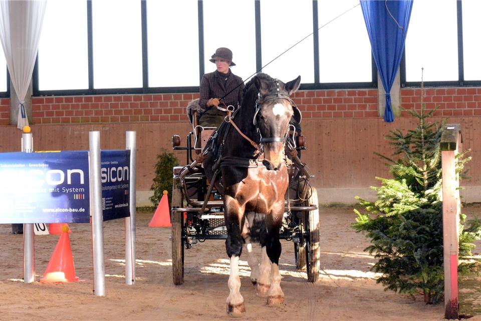 Rund 100 Starts stehen auf dem Programm beim Fahrertag in der Halle des ZRFV Borken.