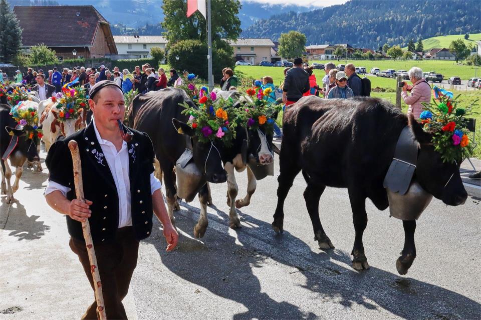 Rund 20 Familien und mehr als 1.000 Tiere feiern Ende September in Plaffeien gemeinsam den Abschluss der Saison.Verena Wolff/dpa-tmn