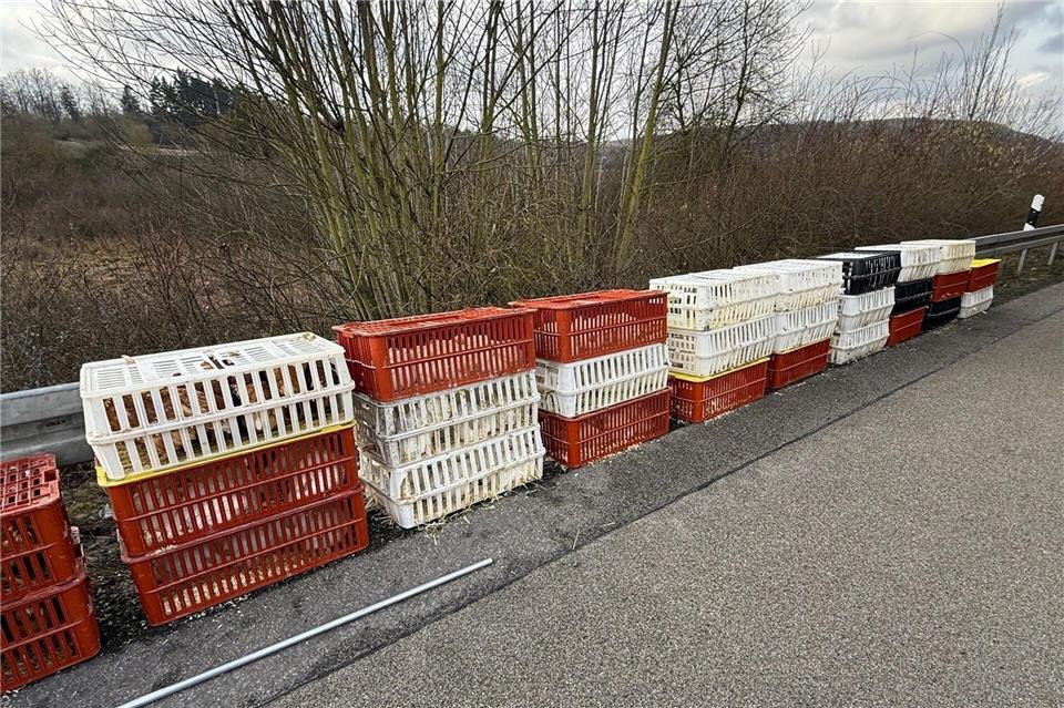 Rund 200 Kisten mit Hühnern fielen auf der A480 von einem Transporter, einige liefen auch über die Straße.Mike Seeboth/dpa
