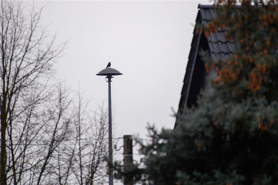 Rund 2.000 Sirenen gibt es in Sachsen-Anhalt, die im Notfall vor Gefahren warnen sollen - etwa bei Hochwasser. (Archivbild)Klaus-Dietmar Gabbert/dpa