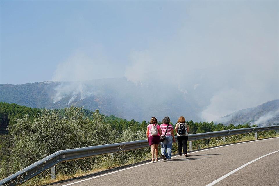 Rund 2.200 Hektar Pinienwald wurden verwüstet.Carlos Criado/EUROPA PRESS/dpa