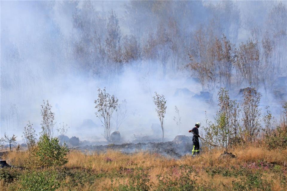 Rund 250 Einsatzkräfte kämpfen bei Benneckenstein gegen einen Waldbrand.Matthias Bein/dpa