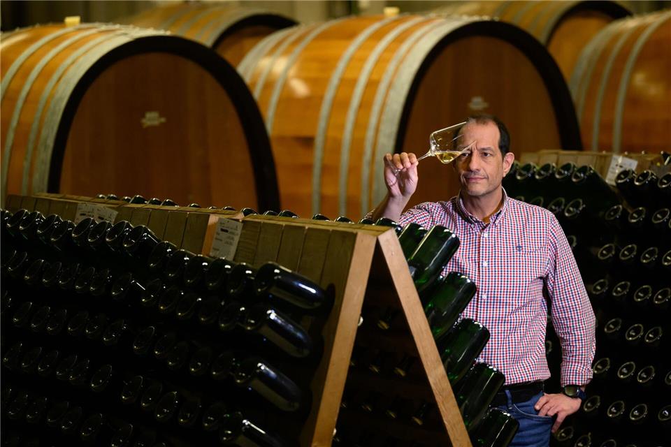 Rund 250.000 Flaschen Sekt pro Jahr werden im sächsischen Staatsweingut Schloss Wackerbarth nach dem traditionellen Prinzip der Flaschengärung produziert. Robert Michael/dpa