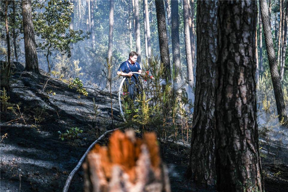 Rund 30.000 Quadratmeter Wald bei Wendelstein südlich von Nürnberg sind am Dienstag in Brand geraten. Jason Tschepljakow/dpa
