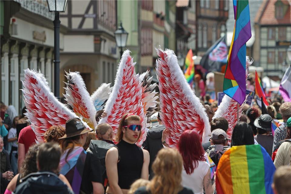 Rund 350 Menschen beteiligten sich nach Angaben der Organisatoren am CSD in Wernigerode. (Archivbild) Matthias Bein/dpa