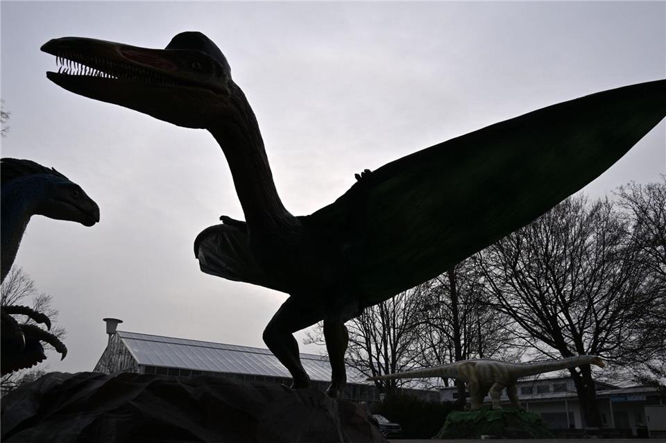 Rund 500 Lichtspots setzen die Dinos in Szene. (Archivbild)Martin Schutt/dpa