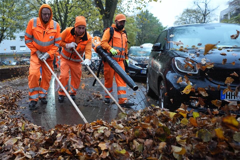 Rund 590 Männer und Frauen sind im Herbst 2026 auf Hamburgs Straßen unterwegs, um das Herbstlaub einzusammeln. (Archivbild)Marcus Brandt/dpa