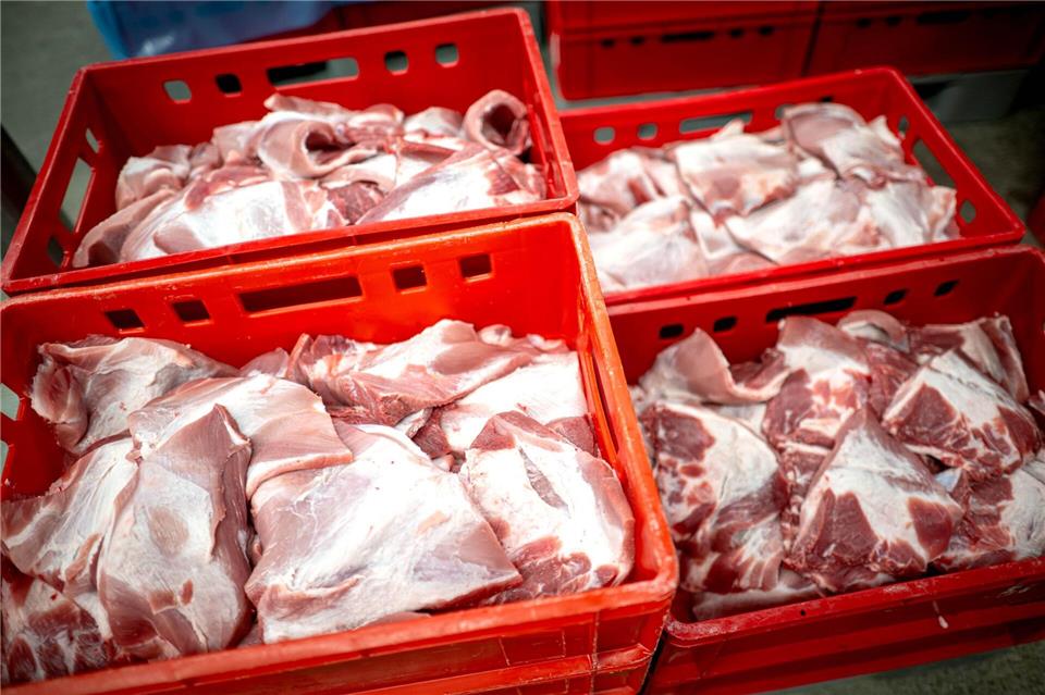 Rund 80 Prozent der Schlachthöfe in Deutschland betäuben Schweine mit CO2. (Archivfoto)Sina Schuldt/dpa