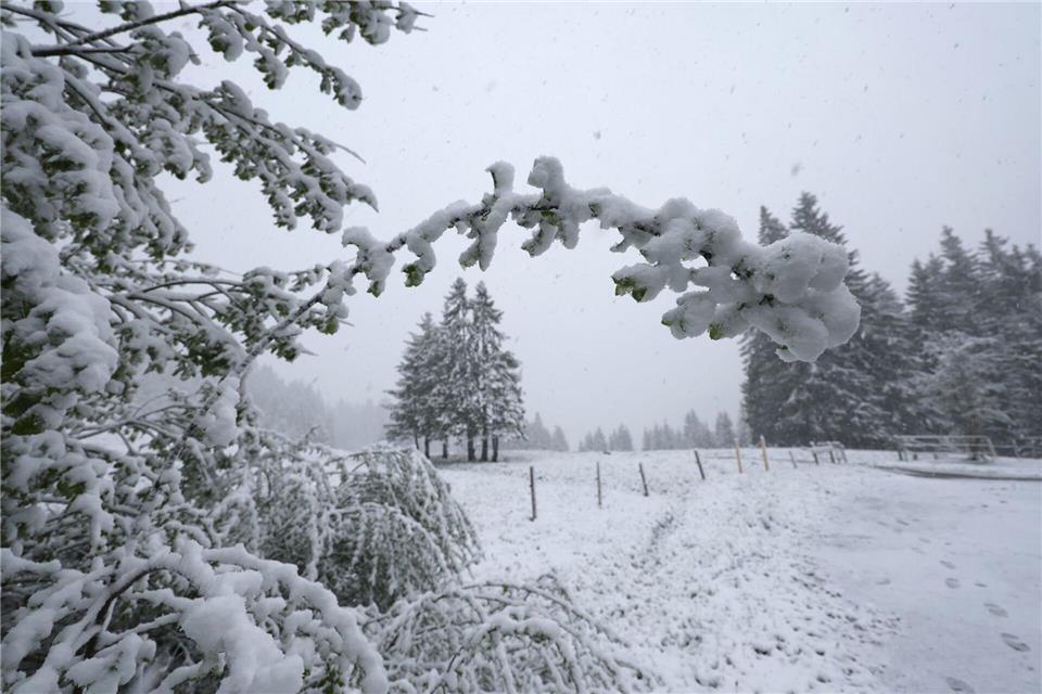 Rund um den Riedbergpass im Allgäu präsentierte sich die Landschaft winterlich weiß.Karl-Josef Hildenbrand/dpa