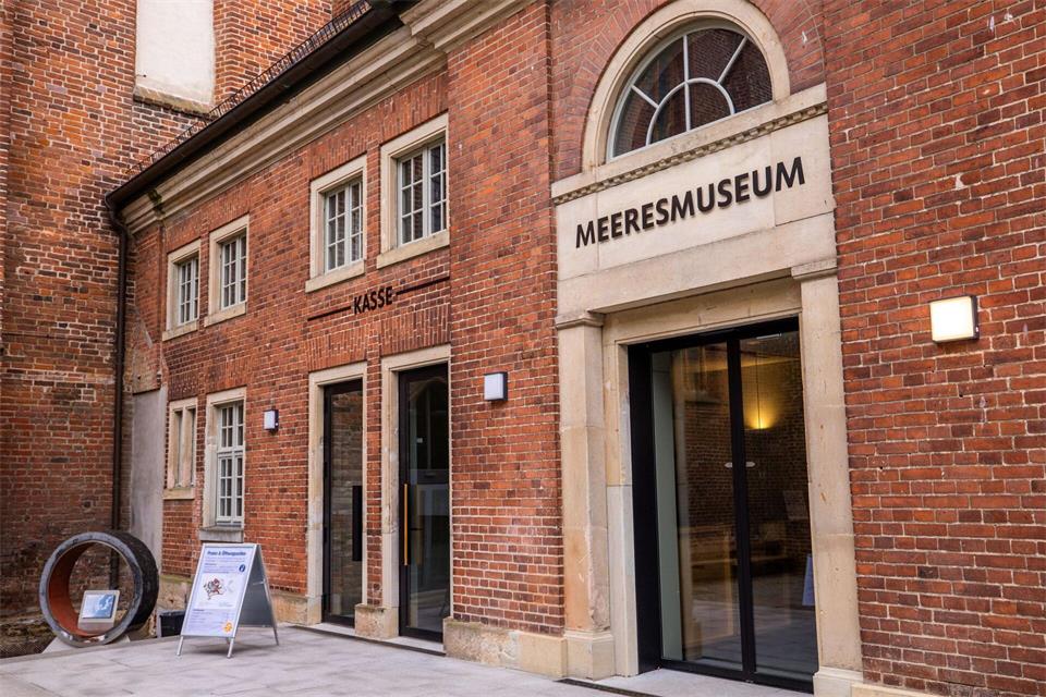 Rund vier Monate nach der Bergung des vor der Ostseeküste geborgenen Buckelwals „Timmy“ sieht sich das Deutsche Meeresmuseum in Stralsund immer noch Anfeindungen ausgesetzt. (Archivbild)Jens Büttner/dpa