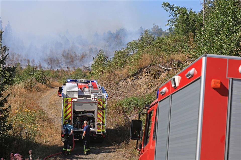 Rund viereinhalb Hektar Wald sind nach Angaben der Feuerwehr von dem Feuer betroffen.Matthias Bein/dpa