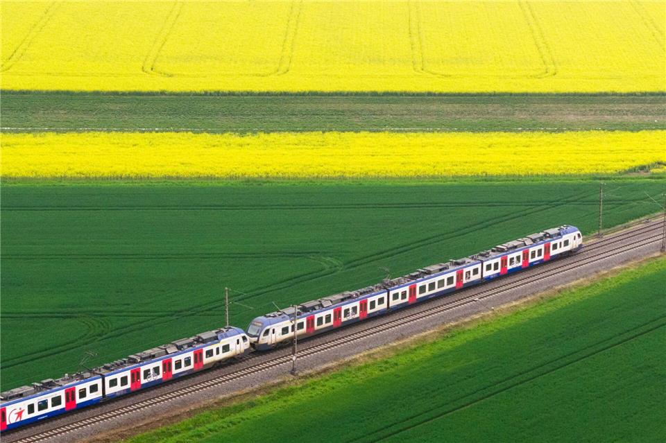 S-Bahn fährt durch blühende Landschaft in NIdersachsenJulian Stratenschulte/dpa