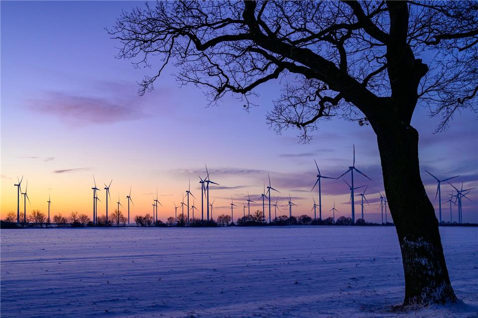 SPD und CDU in Brandenburg wollen einen „Wildwuchs“ bei Windkraftanlagen verhindern (Archivbild).Patrick Pleul/dpa