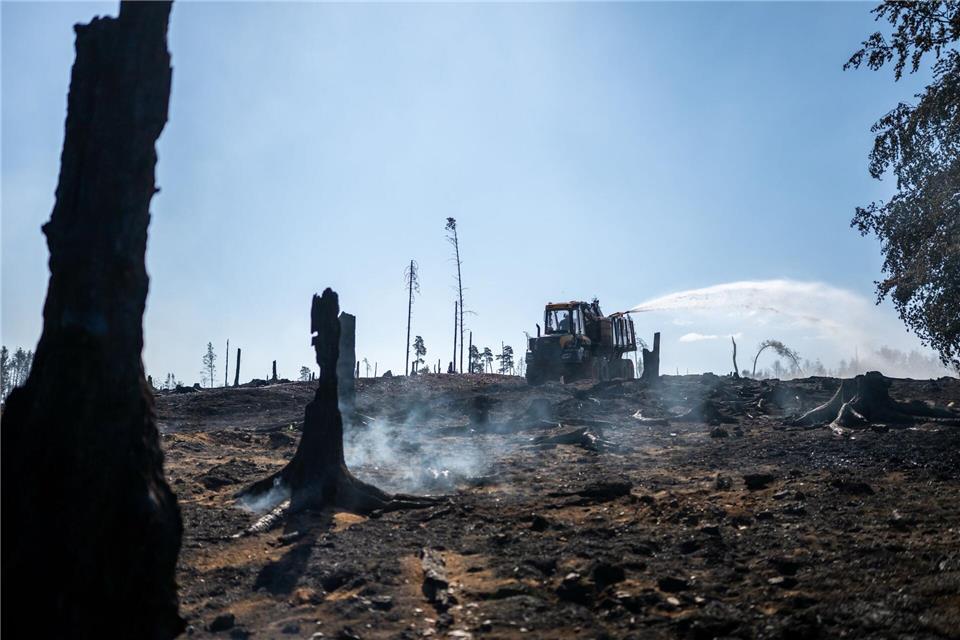Saalfelder Höhe, Thüringen: Die Feuerwehr bekämpft den Waldbrand bei Gösselsdorf.Jacob Schröter/dpa
