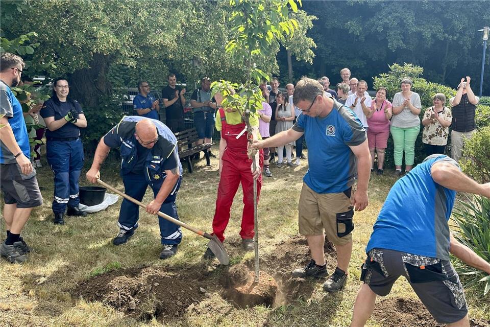 Sachsen ist im Pflanzfieber: Bei der aktuellen Baumpflanzchallenge greifen Feuerwehren, Vereine und Bürgermeister vielerorts zum Spaten. Danilo Dittrich/dpa