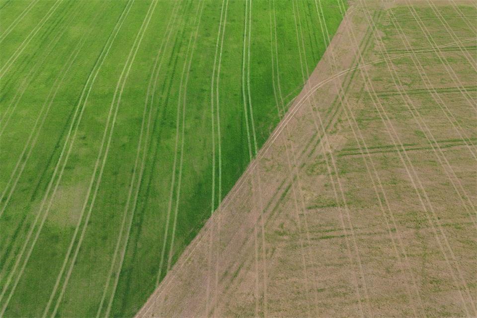 Sachsens Landwirte verbuchen in diesem Jahr eine unterdurchschnittliche Ernte. Katharina Kausche/dpa