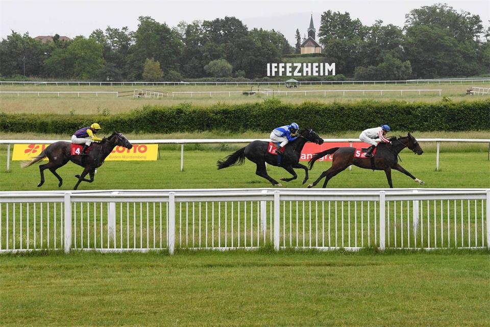 Saddaad gewinnt in Iffezheim den 156. Großen Preis von Baden. Uli Deck/dpa