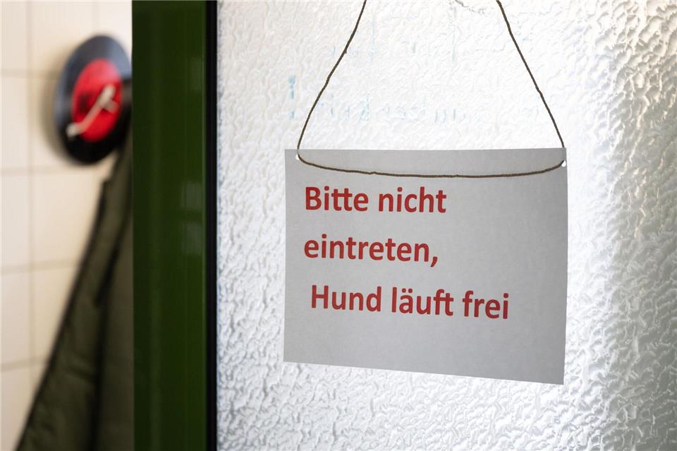 Sächsische Tierheime haben immer häufiger mit verhaltensauffälligen Bewohnern zu tun (Archivbild).Sebastian Kahnert/dpa