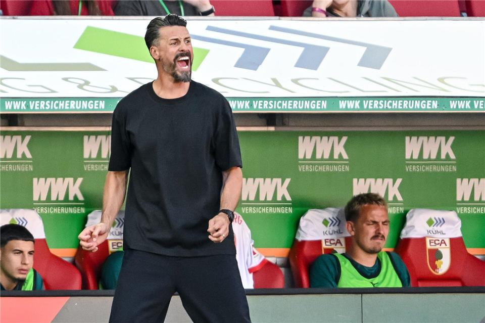 Sandro Wagner muss sich in der Bundesliga erst noch beweisen - der Druck ist groß. (Archivfoto)Harry Langer/dpa
