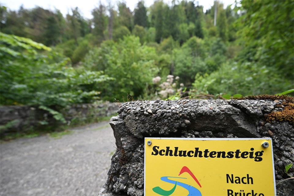 Scarlett Salice wollte die letzte Etappe des Schluchtensteigs von Todtmoos nach Wehr wandern.(Produktion)Bernd Weißbrod/dpa