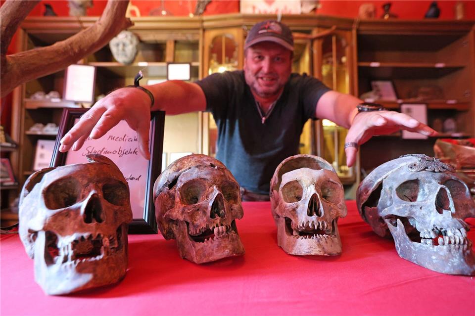 Schädel und andere Exponate werden im Shop im Museum Obscurum zum Kauf angeboten.Matthias Bein/dpa