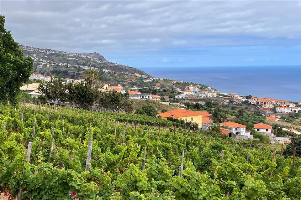 Schenkt Bio-Weine im Bodega-Restaurant „Bago“ aus: die Quinta das Vinhas im Südwesten der Insel.Manuel Meyer/dpa-tmn
