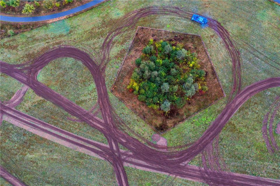 Bilder des Tages Schlangenlinien für besseren Artenschutz: Mit einem Bergepanzer wird am Stadtrand von Schwerin eine Natur-Ausgleichsfläche für die Ansiedlung von Reptilien vorbereitet.Jens Büttner/dpa