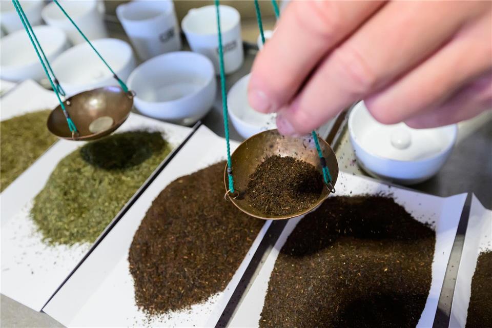 Schmeckt eine Probe nach Schimmel oder Rauch, wird sie sofort aussortiert.Philipp Schulze/dpa