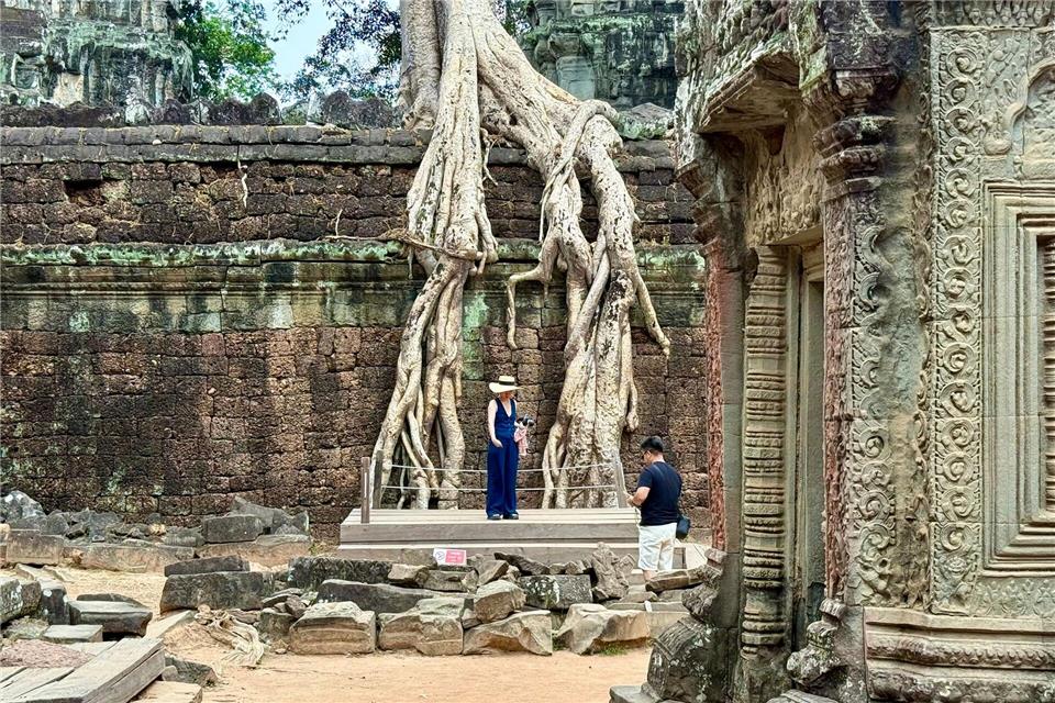 Schnappschüsse in relativer Einsamkeit: Niemand rennt einem am Tempel Ta Prohm ins Bild.Carola Frentzen/dpa-tmn