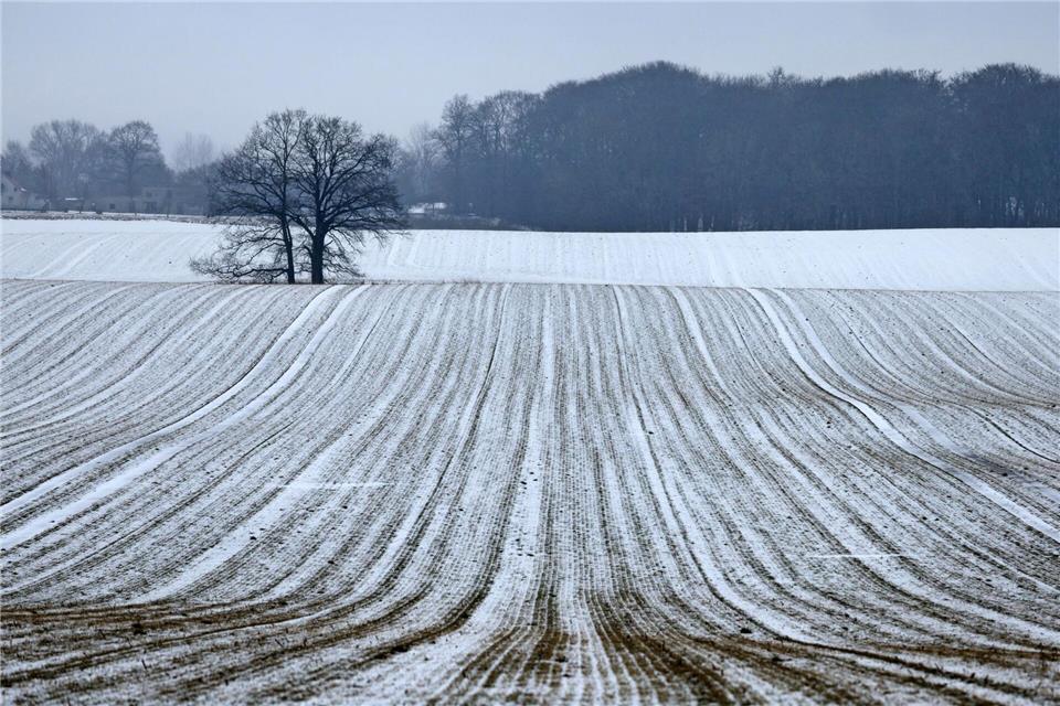 Schnee bis in die Niederungen ist am Samstag für die Mitte und den Süden vorhergesagt.Bernd Wüstneck/dpa
