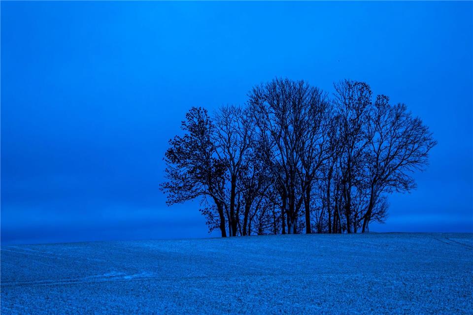 Schnee verzaubert im Westen Mecklenburg-Vorpommerns die Landschaft. Jens Büttner/dpa