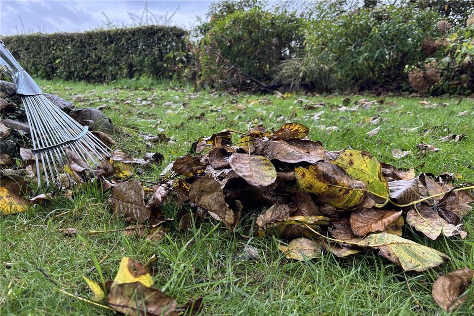 Schön wegfegen: Aber privates Laub soll nicht in den Containern entsorgt werden, die die Gemeinde Reken testweise aufstellen will.