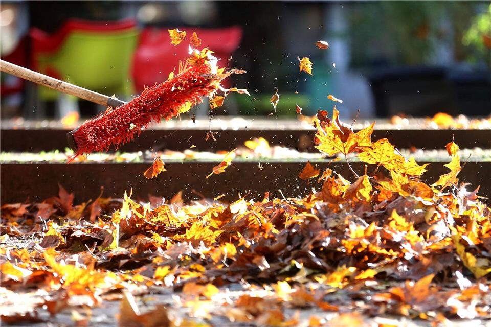 Schön wegfegen: Auf Gehwegen sollte Laub wegen der Rutschgefahr nicht liegen bleiben. (zu dpa: «Wie Sie Herbstlaub im Garten gut nutzen können»)picture alliance/dpa