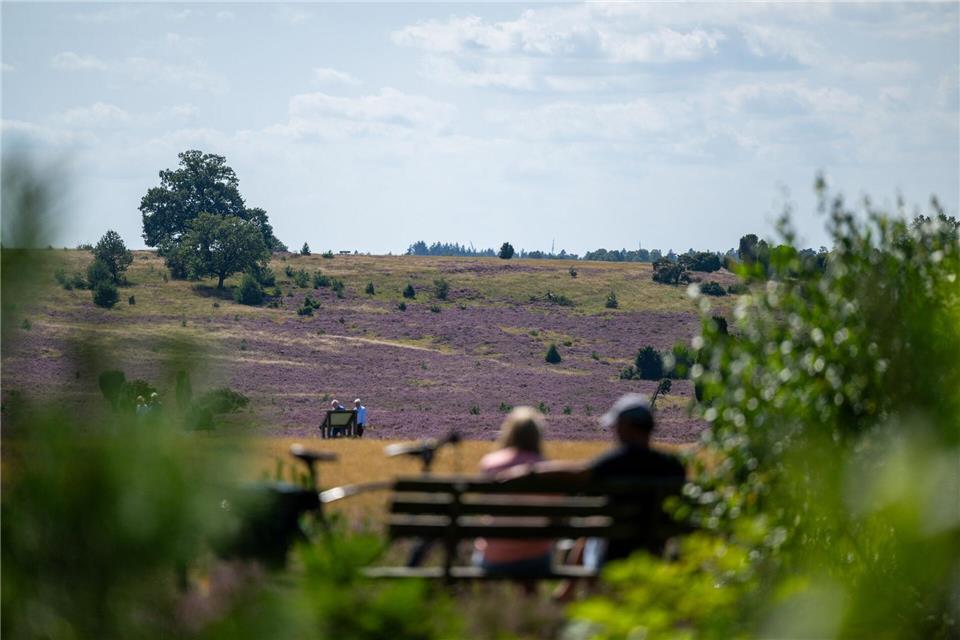 Schöne Landschaften wie die Lüneburger Heide prägen Niedersachsens Wahrnehmung – wirtschaftlich sieht das Bild dagegen durchwachsen aus. (Archivbild)Philipp Schulze/dpa