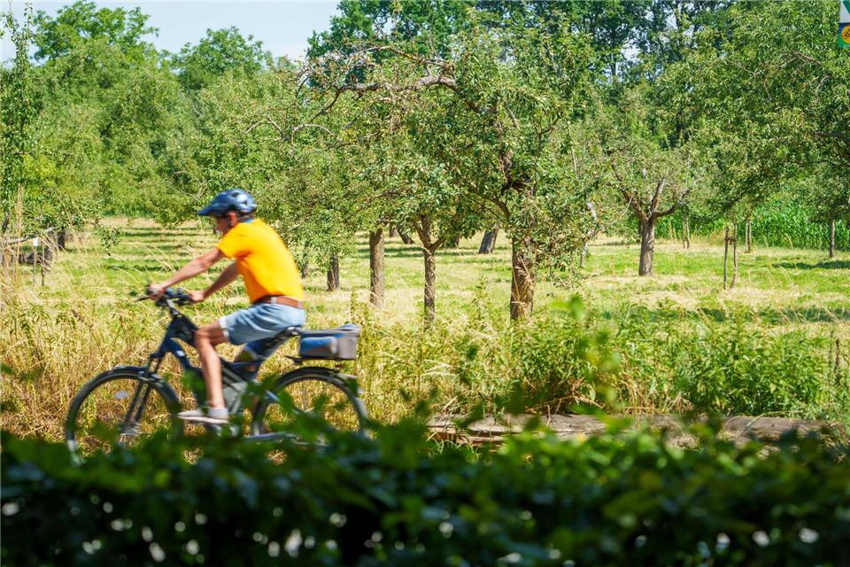 Schönes Wetter mit viel Sonnenschein lockt Radfahrer und Radfahrerinnen heraus. (Archivbild)Andreas Arnold/dpa