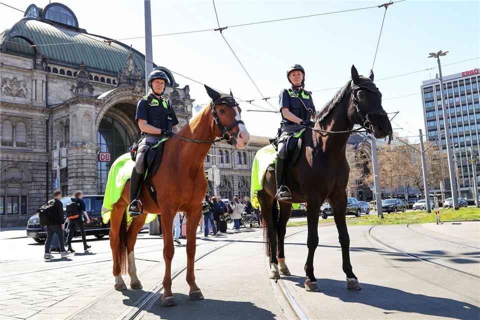 Schon allein wegen ihrer Größe sind die beiden Polizeipferde Quickly (l) und Remus (r) von Weitem sichtbar. Das soll Kriminelle abschrecken und Bürgern ein Gefühl von Sicherheit vermitteln. Daniel Löb/dpa