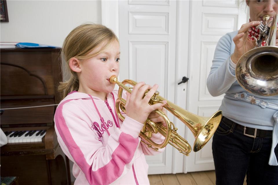 Schon früh in der Jugend an die Musik heranführen - das ist der Erfolgsrezept für Musikvereine.