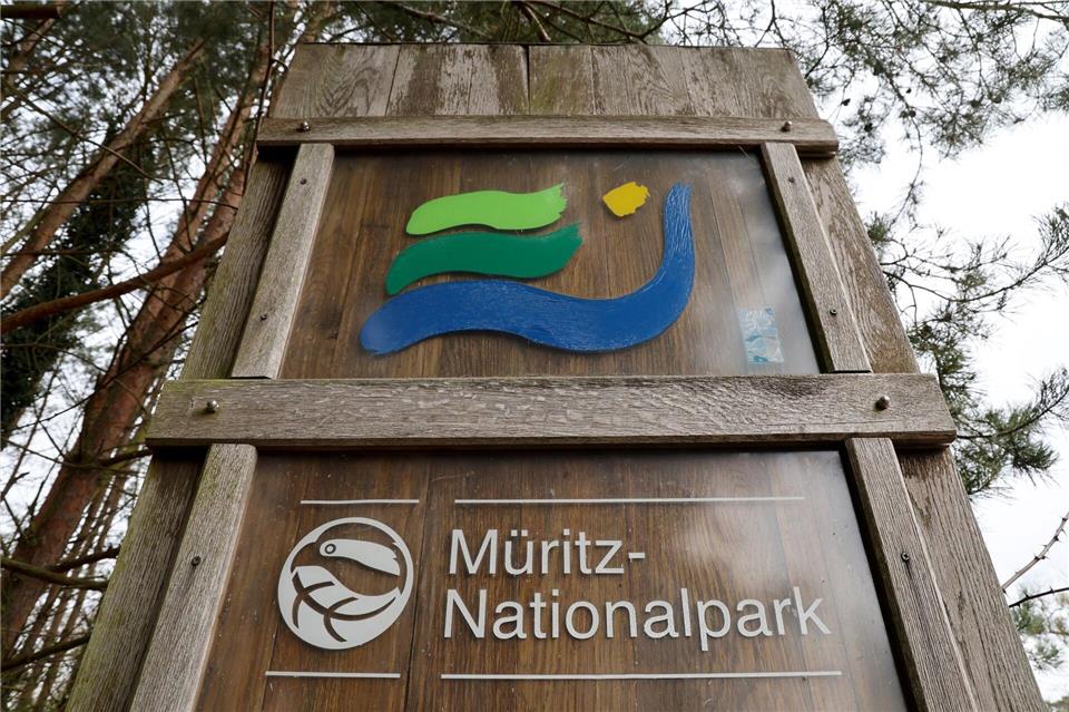 Schon wieder brennt es im Müritz-Nationalpark. (Archivbild)Bernd Wüstneck/dpa